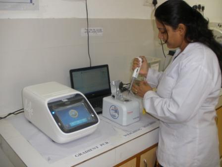Gradiant PCR